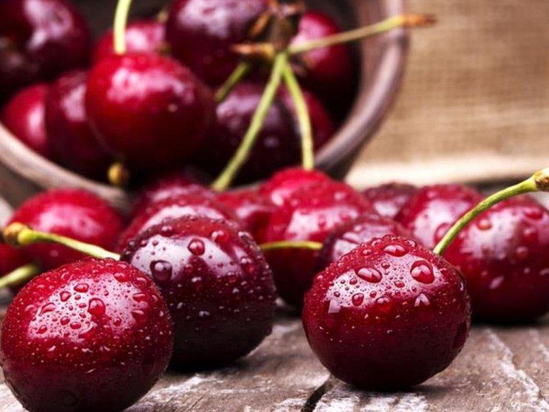 Вишня купить саженцы из питомника в Железногорске